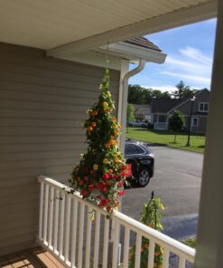 TIHOOD 2PCS Plant Pulley Retractable Hanger Hooks - Hanging Plants Garden Baskets Pots Bird Houses. 5ft Long & 55 lbs Weight Capacity 12 71BRLiywlcL