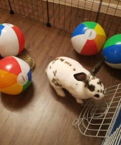 12-Pack Rainbow Inflatable Beach Balls Bulk for Kids & Adults I Inflatable Pool Party Favors Swimming Pool Toys I Kids Beach Toys for Beach Games I Kids Summer Toys Water Balls I Toddler Pool Toys Set 45 71BRl8fWHEL 1