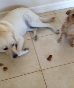 Nylabone Natural Nubz Edible Dog Chews, 22 Count 22 Pack Large - 30+ lbs. 17 71BSGiHbSbL