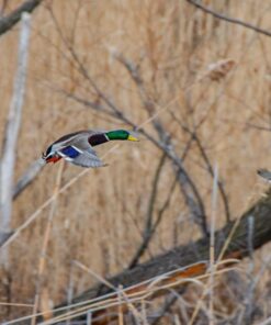 Nikon AF-S FX TC-14E III (1.4x) Teleconverter Lens with Auto Focus for Nikon DSLR Cameras 25 71BUmLatHgL