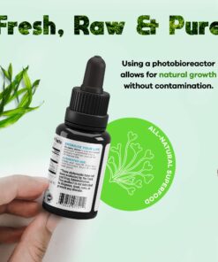 Oceans Alive Marine Phytoplankton by Activation Products, 1 Month Supply, Organic Saltwater Algae Oil Memory and Focus Mineral Trace Supplements - Microalgae Oil for Energy and Stress - 30 ml 13 71BWBdO4bL