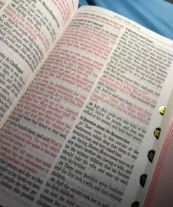 KJV Holy Bible, Giant Print Full-size Faux Leather Red Letter Edition - Thumb Index & Ribbon Marker, King James Version, Pink Leather Bound 65 71BWRlBwcGL