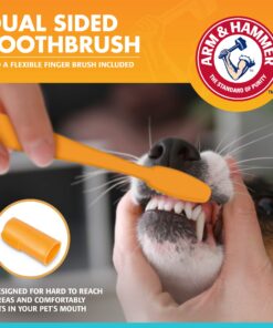 Arm & Hammer for Pets Fresh Breath Kit for Dogs | Contains Toothpaste, Toothbrush & Fingerbrush | Reduces Plaque & Tartar Buildup | Safe for Puppies, 3-Piece Kit, Chicken Flavor Dogs - Chicken Flavor 2.5 Oz (Pack of 1) 22 71BX29LBp3L