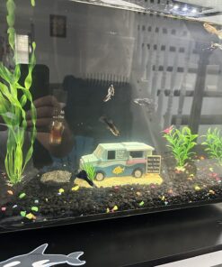 Seachem Indoor Purigen Organic Filtration Resin - Fresh and Saltwater 100 ml 47 71BX55mfgtL