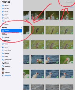 Apple MFi Certified Lightning to SD Card Camera Reader for iPhone iPad, Veetone Memory Card Reader Trail Camera Viewer SD Card Adapter for iPhone 12/11/XS/XR/X/8/7/iPad, Plug and Play One Slot 33 71BXCnPlVTL