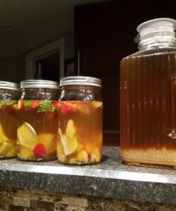 QUARTER POUND Original Water Kefir Grains Exclusively from Florida Sun Kefir with 12 Brewing Bags Mild Sweetness to Tart 0.25 Ounce (Pack of 4) 24 71BXrZEkMrL