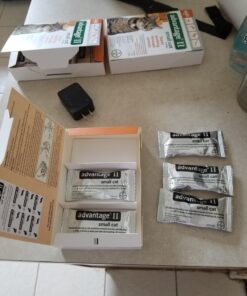 Advantage II Small Cat Vet-Recommended Flea Treatment & Prevention | Cats 5-9 lbs. | 6-Month Supply 6 Pack Small Cat only 29 71Ba4IgbI3L