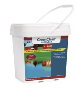 BioSafe Systems GreenClean Granular Algaecide, 20 lbs, String Algae Control for Koi Ponds, Fountains, Waterfalls, Water Features on Contact, EPA Registered 12 71BbBjo2BuL