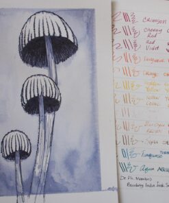 Zebra Comic G Model Chrome Pen Nib, 10 Nibs (1 Pack) (PG-6B-C-K) 1 Count (Pack of 1) 37 71BbeI7sw2L