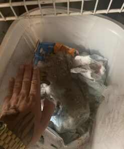 iRobot Roomba 694 Robot Vacuum-Wi-Fi Connectivity, Personalized Cleaning Recommendations, Works with Alexa, Good for Pet Hair, Carpets, Hard Floors, Self-Charging, Roomba 694 48 71Bbz UGSaL