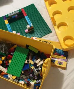 LEGO Classic Medium Creative Brick Box 10696 Building Toy Set - Featuring Storage, Includes Train, Car, and a Tiger Figure, and Playset for Kids, Boys, and Girls Ages 4-99 62 71BdAaigv0L