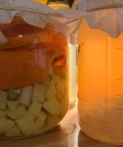 The Art of Fermentation: New York Times Bestseller Hardcover, Illustrated 31 71BdH7UtyzL