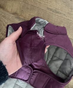 Kurgo Loft Dog Jacket, Reversible Dog Coat, Wear with Harness or Sweater, Water Resistant, Reflective, Winter Coat For Medium Dogs (Deep Violet, M) Deep Violet/Charcoal 50 71BdVe0OV1L