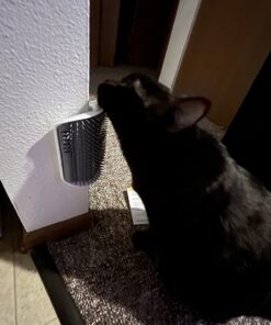 Catit Senses 2.0 Self Grooming Cat Brush and Interactive Cat Toy 33 71BdpBwbFL