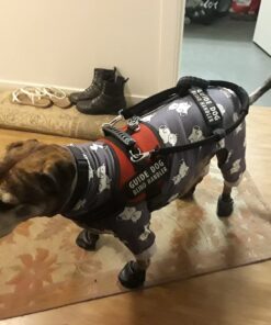 PawZ Rubber Dog Boots for Paws up to 2 1/2", 12 Pack - All-Weather Dog Booties for Hot Pavement, Snow, Mud, and Rain - Waterproof, Anti Slip Dog Socks - Small, Black 41 71Be1HtFTQL