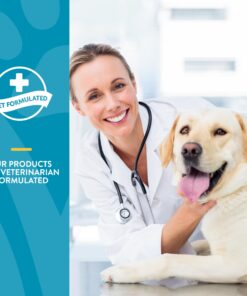 NaturVet Quiet Moments Calming Aid Dog Supplement – Helps Promote Relaxation, Reduce Stress, Storm Anxiety, Motion Sickness for Dogs – Tasty Pet Soft Chews with Melatonin – 70 Ct. Dog - Quiet Moments Melatonin 70 Soft Chews 24 71BhK3khYL