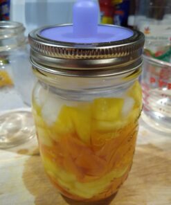 Masontops Pickle Pipes - Airlock Fermentation Lids - Fermentation Kit for Small Mouth Mason Jar Sauerkraut & Pickle Kit - Fermentation Jar Not Included Small Mouth 4PK 20 71Bi1Pw3RrL