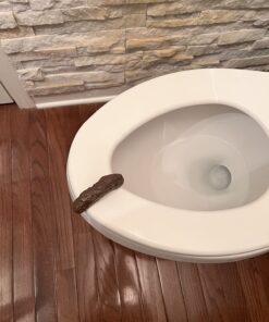 Loftus Gross Party Pooper Fake Poo Toy, Brown, 4 inches 18 71BkxVRzPgL