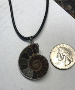 JOYA GIFT Charm Handmade Natural Conch Fossil Ammonite By Silver Wrapped Pendant Necklace (1 PCE). 52 71BlUN8ObJL