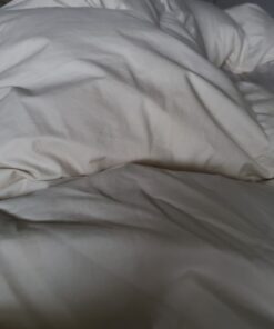 HARRIS Bed Bug Killer, Liquid Spray with Odorless and Non-Staining Formula (Gallon) 22 71BntaN 2L