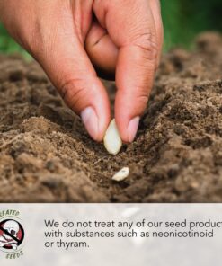 Seed Needs, Bee Balm Seed Packet Collection (3 Individual Varieties of Seed for Planting) Non-GMO & Untreated 22 71Bq3GCa1rL 6