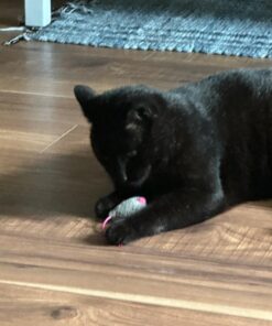 SmartyKat (3 Count) Skitter Critters Catnip Cat Toys - Gray/Cream, 3 Count Set of 3 Skitter Critter Mouse 30 71BsMb9mDlL