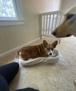 Keekaroo Peanut Changer Vanilla – the Original Made in USA easy-to-clean changing pad and the only shell over foam, fully impermeable to fluid 29 71BuZzxcEjL