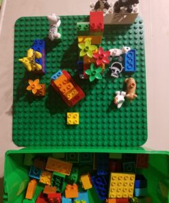 LEGO DUPLO Creative Play Large Green Building Plate 2304 Building Kit (1 Piece) 29 71BvANnTbqL
