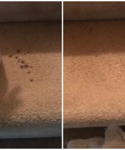 Folex Instant Carpet Spot Remover, 128oz Odor Free 128 Fl Oz (Pack of 1) 43 71BwUTaNAaL