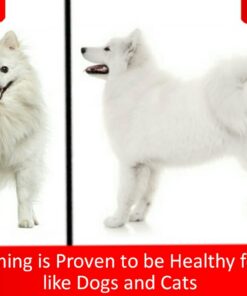 Mr. Peanut's Grooming Glove Brush and Deshedding Aid - Pet Hair Remover Mitt - for Long and Short Hair Grooming of Dogs, Horses, Bunnies and Some Agreeable Cats 31 71ByDF0tubL