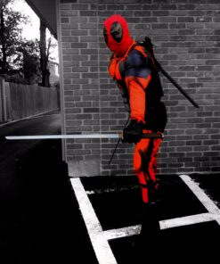 Ace Martial Arts Supply Leonardo Dual Ninja Swords with Back Carrying Scabbard 53 71ByzAPZ YL 1