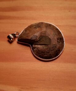 JOYA GIFT Charm Handmade Natural Conch Fossil Ammonite By Silver Wrapped Pendant Necklace (1 PCE). 39 71C ODNQ8EL