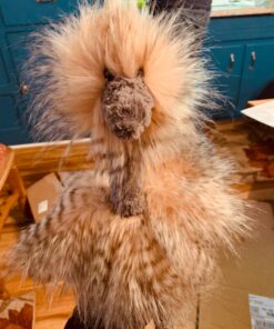 Jellycat Mad Pet Odette Ostrich Stuffed Animal, Medium, 20 inches 22 71C24mpdniL