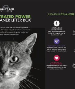 World's Best Cat Litter, Clumping Litter Formula, 28-Pounds 30 71C2mSZfCbL