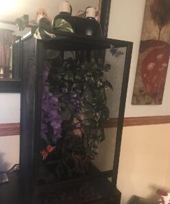 Zoo Med ReptiBreeze Open Air Screen Cage, Extra Large, 24 x 24 x 48-Inches 36 71C3erOOcIL