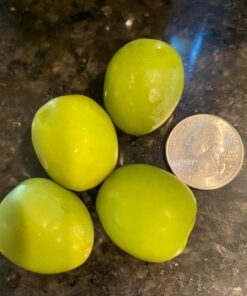 Roland Foods Whole Castelvetrano Olives, Specialty Imported Food, 3 Lb 4.9 Oz Can 38 71C3gV ZUL