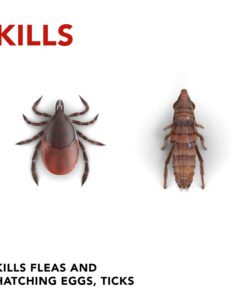 Raid Flea Killer Carpet & Room Spray, Kills hatching eggs for up to 4 months, 16 Oz 11 71C3tyoFliL