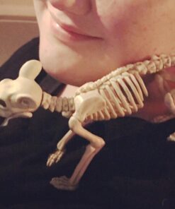 Crazy Bonez Skeleton - Rat Bonez 28 71C47fBPl6L