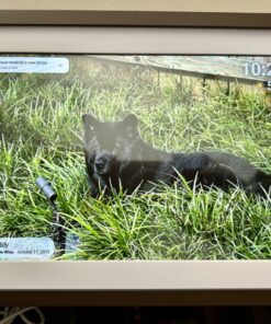 10.1 inch WiFi Digital Picture Frame, 32GB Smart Digital Photo Frame with WiFi Share Photo Video via Frameo App 10.1" Brown 51 71C4vKQFKYL
