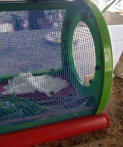 Toysmith: Outdoor Discovery Critter Case by Toysmith - Backyard Nature Exploration To Catch & Release Bugs & Insects to Study Up Close 28 71C68vMIrkL