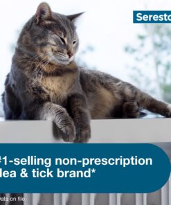 Seresto Cat Vet-Recommended Flea & Tick Treatment & Prevention Collar for Cats | 8 Months Protection 1 Pack Cat Only 26 71CAkMaeNwL