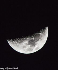 Opteka 500mm/1000mm f/8 Manual Telephoto Lens for Nikon F-Mount D6, D5, D4, DF, D850, D810, D780, D750, D700, D610, D500, D7500, D7200, D7100, D5600, D5500, D5300, D5200, D3500, D3400, D3300, D3200 50 71CAl7uoSRL