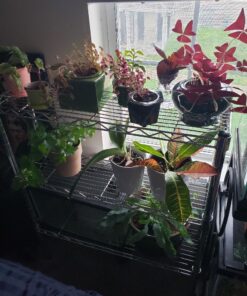 Shelving Inc. 8" d x 30" w Chrome Wire Shelving with 3 Tier Shelves, Weight Capacity 800lbs Per Shelf 8" d x 30" w x 34" h 11 71CBfJhbzXL