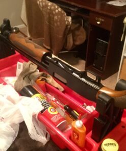 Hoppe's No. 9 Gun Bore Cleaner, 16 oz. Bottle (packaging may vary) 21 71CBub2waXL