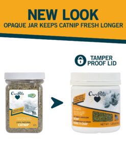 Our Pets Premium Catnip - 1.25 oz Jar of High Potency Catnip - 100% North American Grown 1.25 oz. 19 71CDWjPIpLL