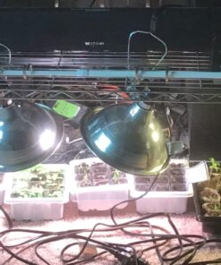 Whitmor Supreme Wide Stacking Shelf - Heavy Duty - Adjustable - Chrome 37 71CDiKk868L