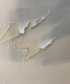 SmarterLife Workout Exercise Ball for Fitness, Yoga, Balance, Stability, or Birthing, Great as Yoga Ball Chair for Office or Exercise Gym Equipment for Home, Premium Non-Slip Design Purple 65 cm 31 71CEgx6PMgL