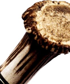 Skokie Knives Custom Hand Made Damascus Steel Hunting Knife Handle Stag Antler 11 71CFjklLzvL