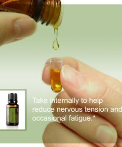 doTERRA Rosemary Essential Oil 15 ml Camphoraceous, Herbaceous 0.51 Fl Oz (Pack of 1) 18 71CGYVMgrbL