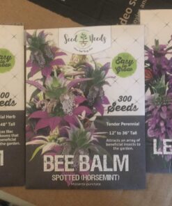 Seed Needs, Bee Balm Seed Packet Collection (3 Individual Varieties of Seed for Planting) Non-GMO & Untreated 24 71CGfL1JzsL 1